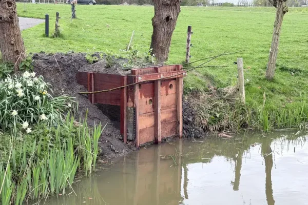 Houten ijsvogelverblijf geplaatst langs oever