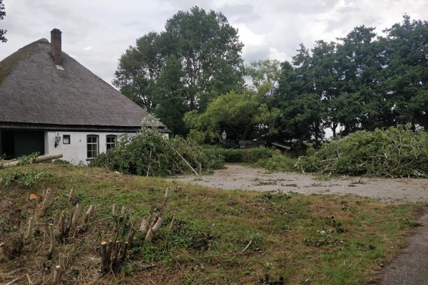 stolp-begin-situatie Rommelige beginsituatie bij stolpboerderij met hout en begroeiing