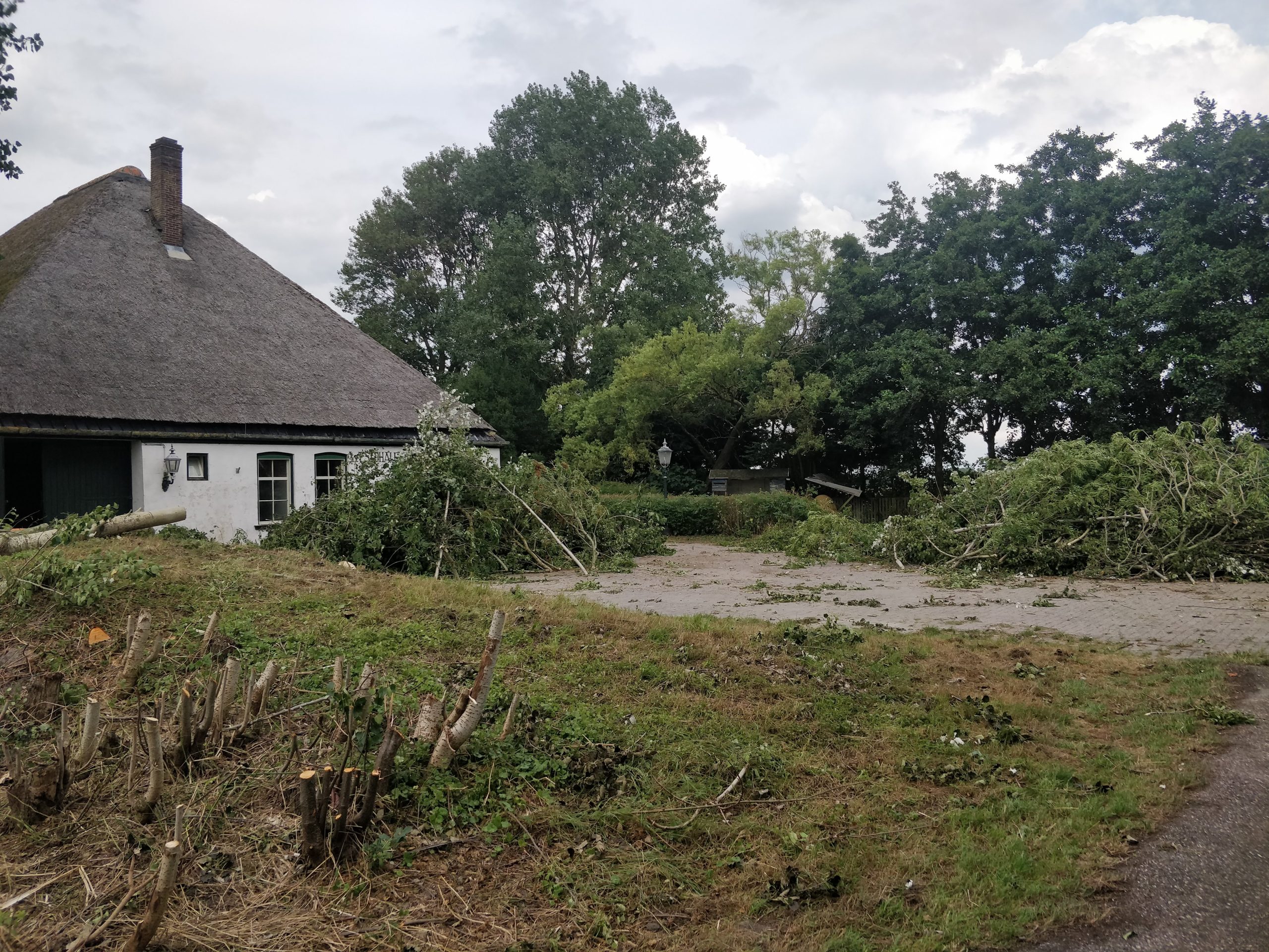 Rommelige beginsituatie bij stolpboerderij met hout en begroeiing