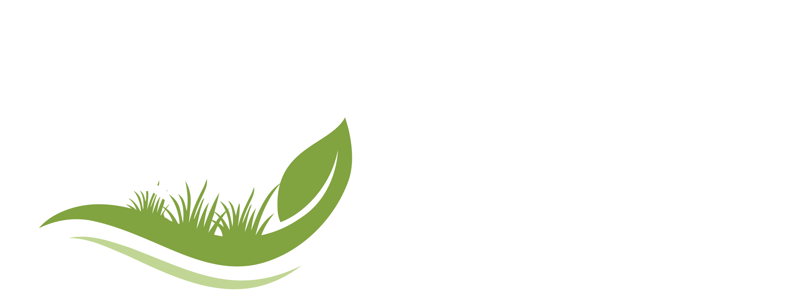 Koen in het groen