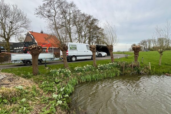 Geknotte wilgen langs slootkant in Noord-Holland
