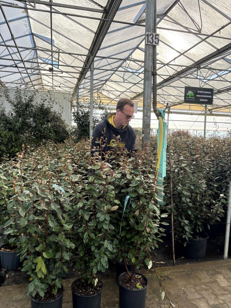 Hovenier koopt planten voor tuinproject in Schagen