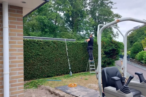 koen-in-het-groen-haag-knippen-01